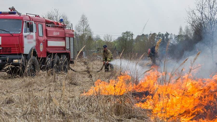 В Рослесхозе опровергли эффективность сжигания сухой травы для уничтожения клещей<br />
